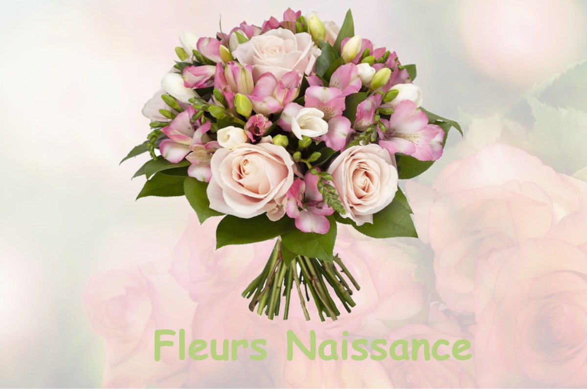 fleurs naissance HARGNIES